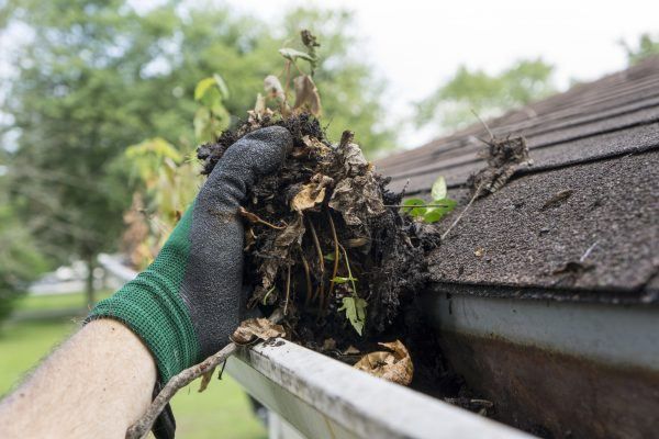 Gutter Cleaning Service Tigard OR 6
